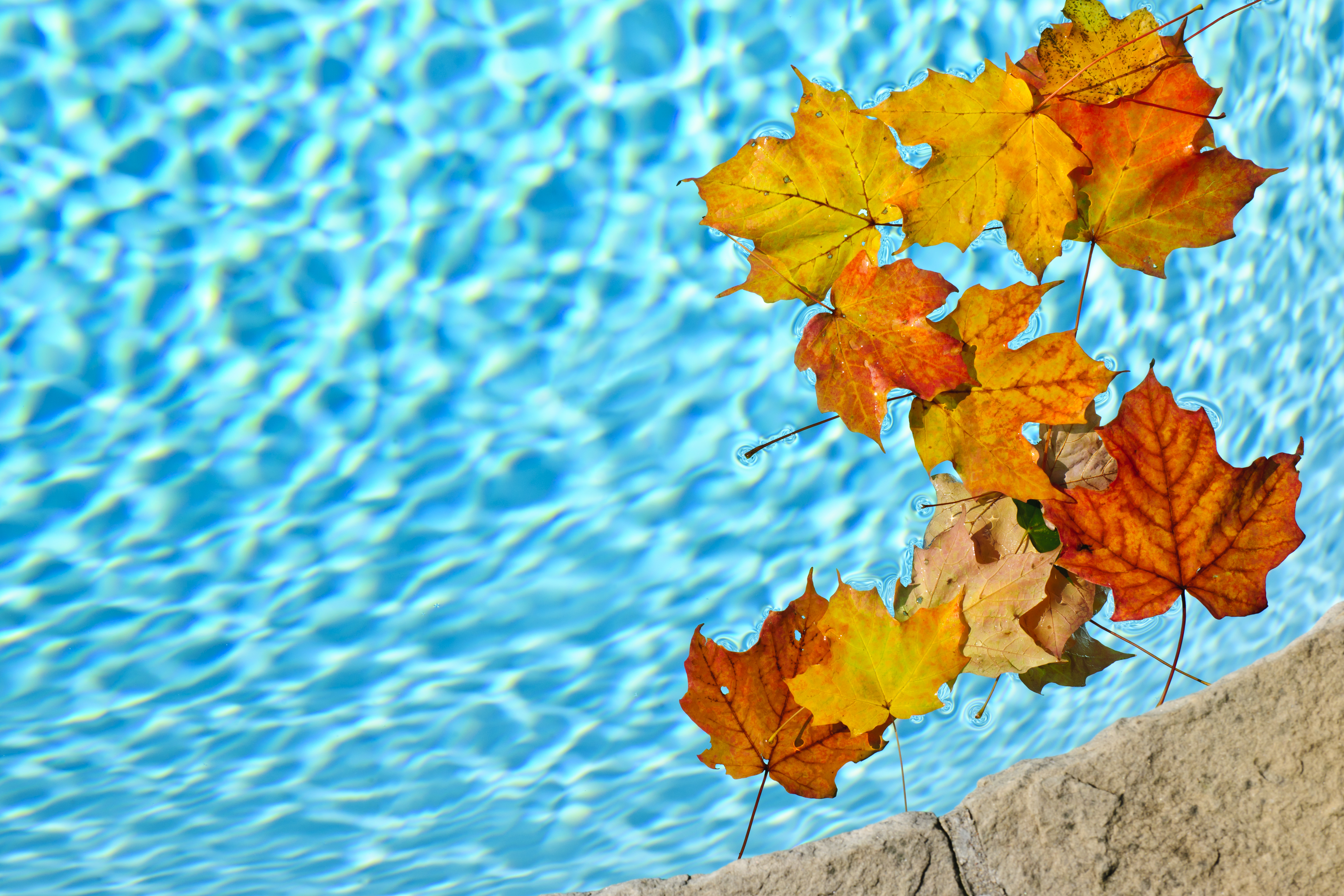 Time To Think About Your Pool Heating Options For Winter