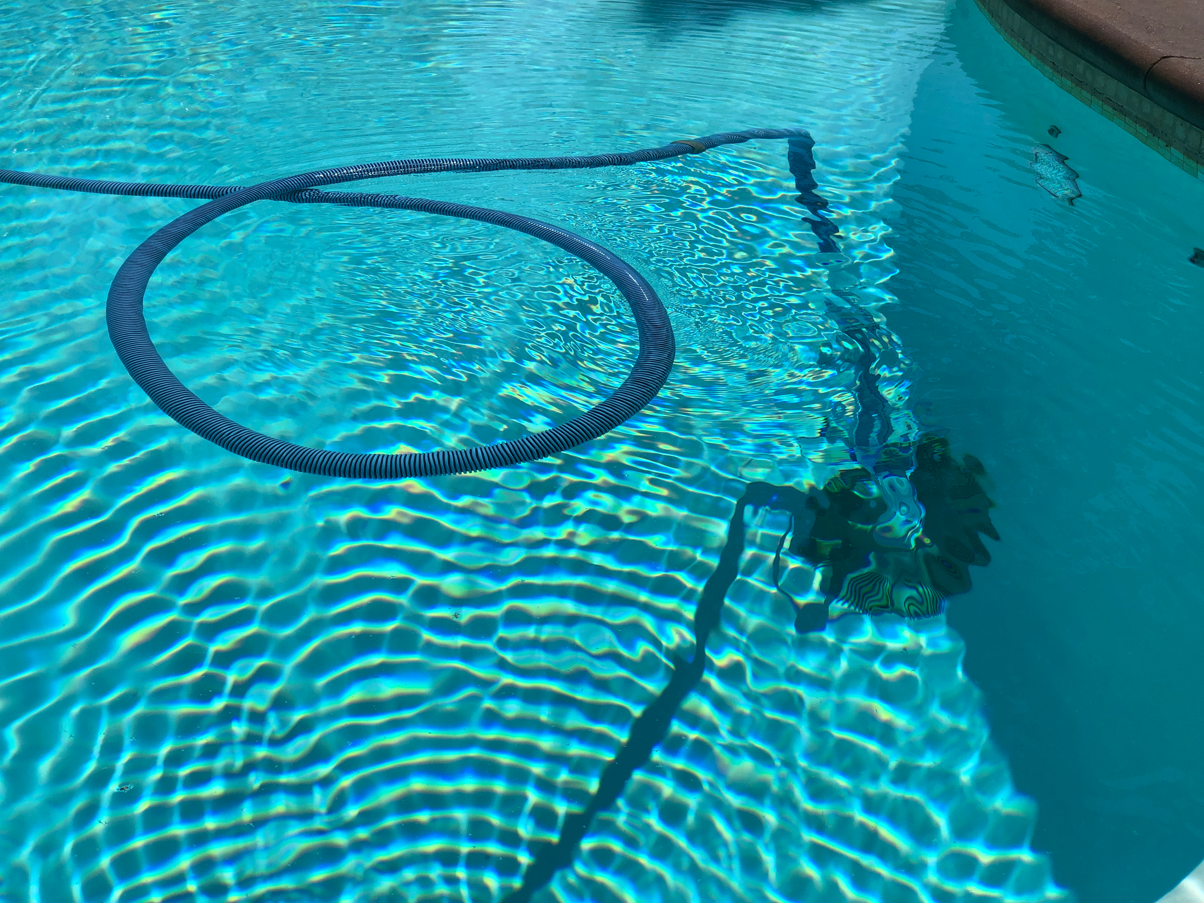 Robotic Pool Cleaners